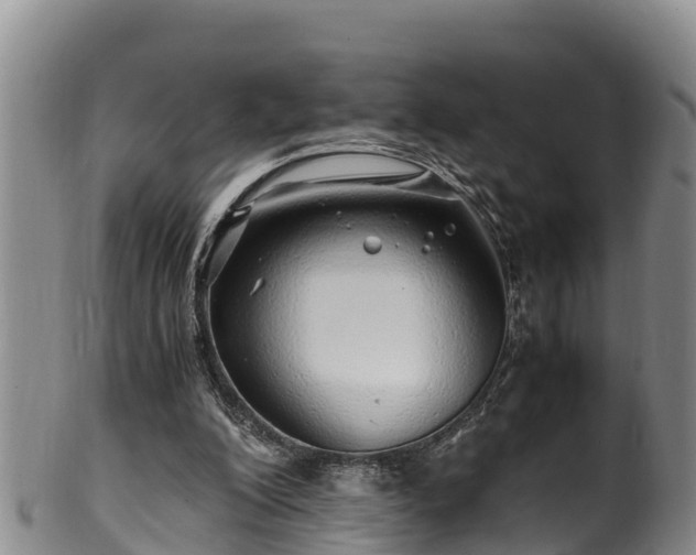 X0000100880200200806271146