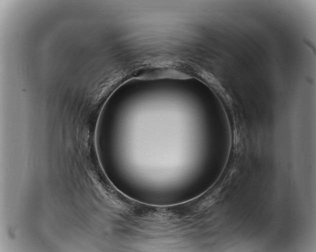 X0000100880201200806271146