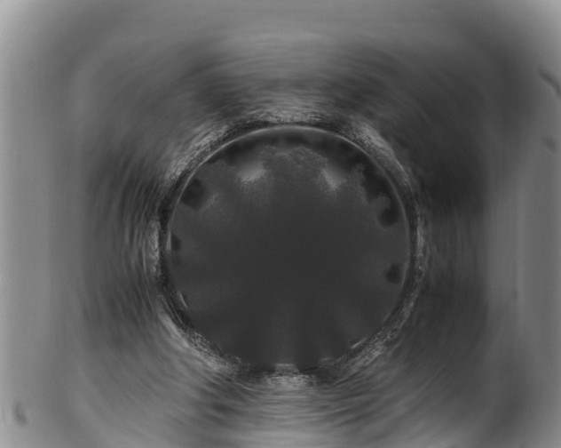 X0000100880202200806271146