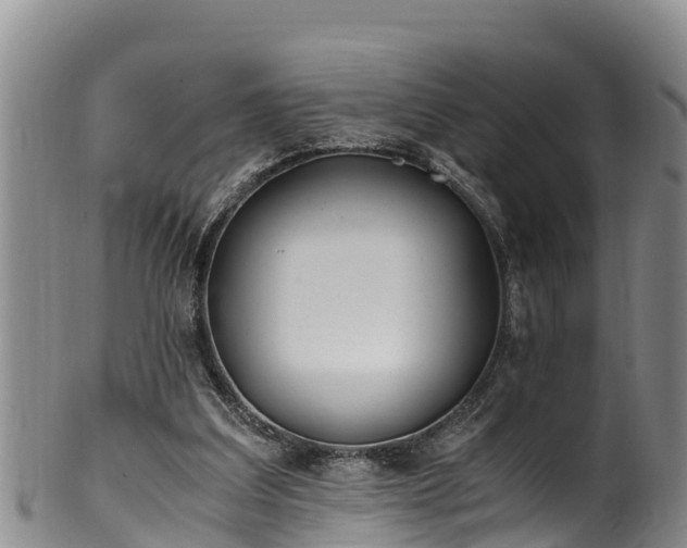 X0000100880203200806271146