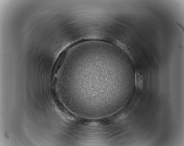 X0000100880204200806271146