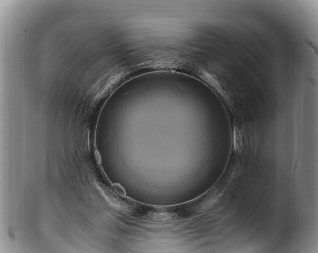 X0000100880205200806271146