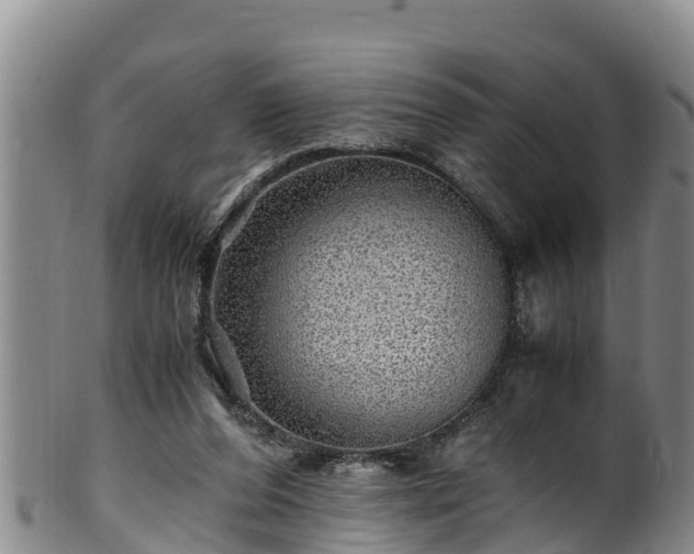 X0000100880208200806271146