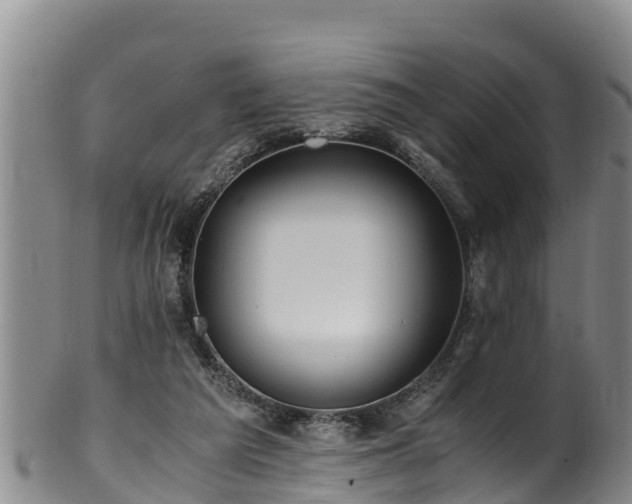 X0000100880209200806271146