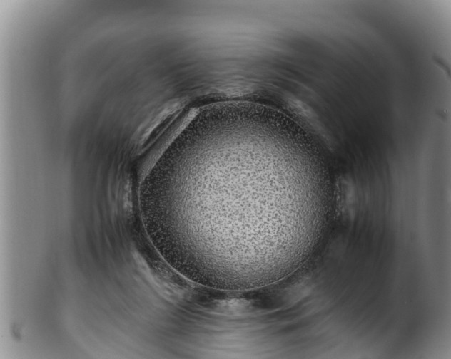 X0000100880212200806271146