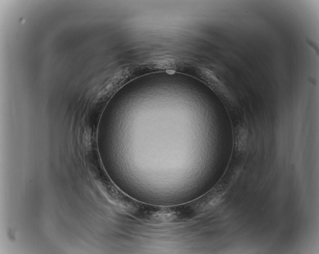 X0000100880213200806271145