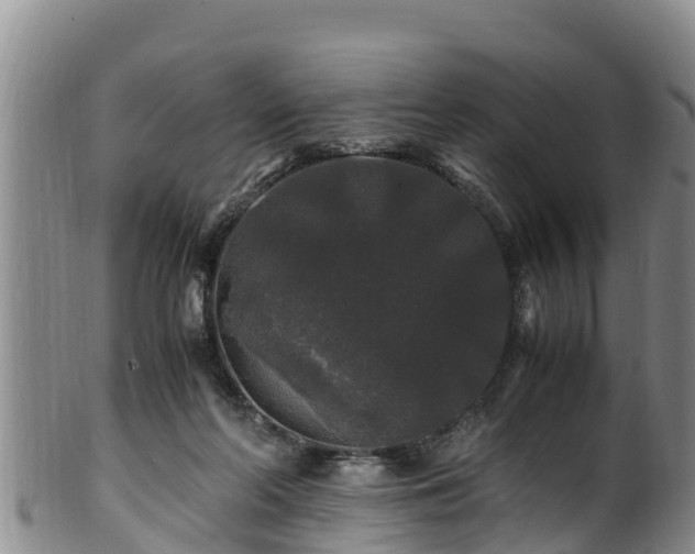 X0000100880214200806271145