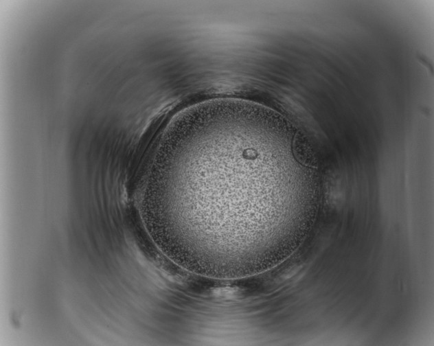 X0000100880216200806271145