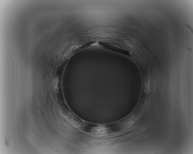 X0000100880219200806271145