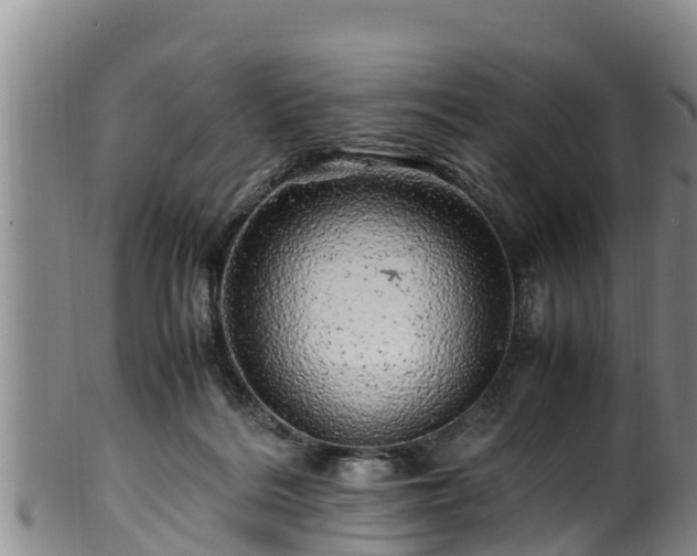 X0000100880220200806271145