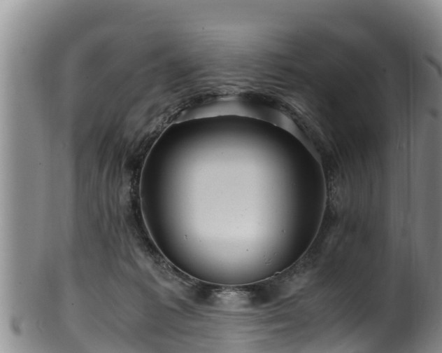 X0000100880221200806271145