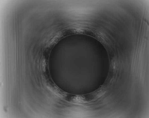 X0000100880223200806271145