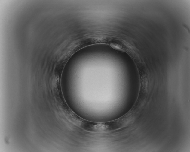 X0000100880225200806271145