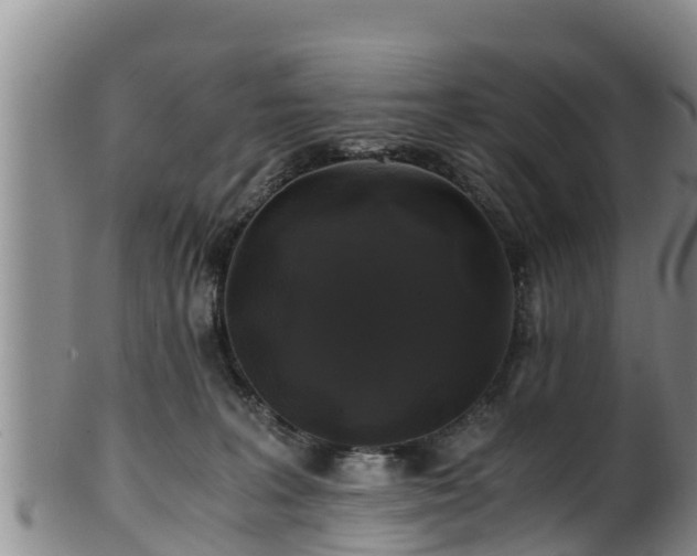 X0000100880227200806271145