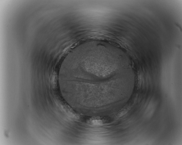 X0000100880228200806271145