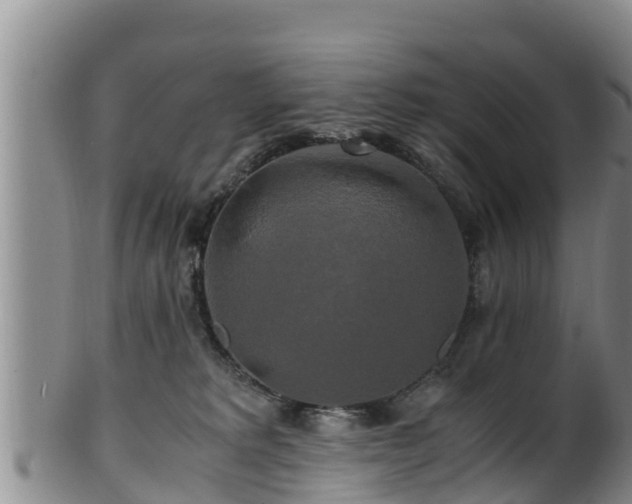 X0000100880229200806271145