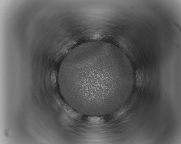 X0000100880230200806271145