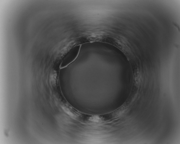 X0000100880231200806271145