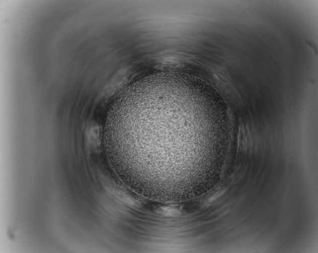 X0000100880232200806271145