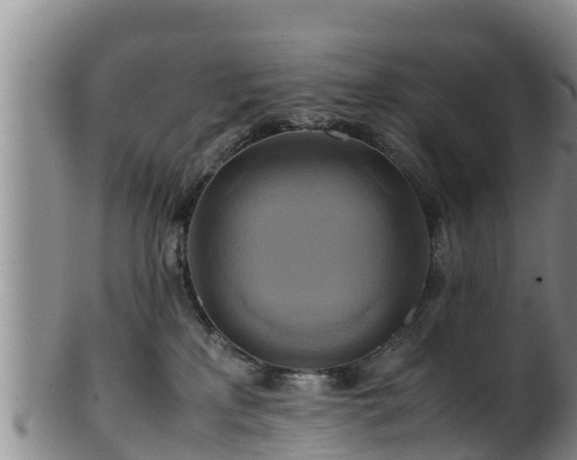 X0000100880233200806271145