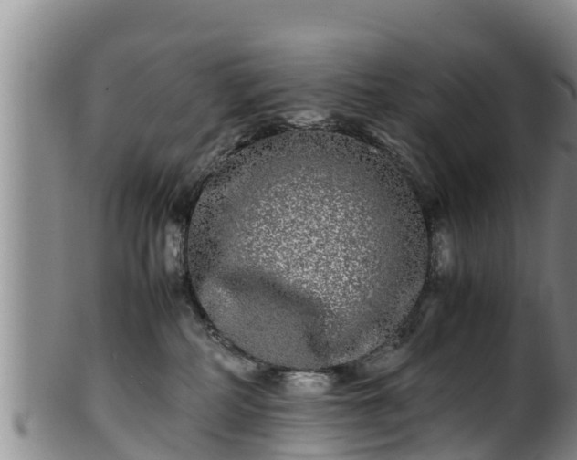 X0000100880234200806271145