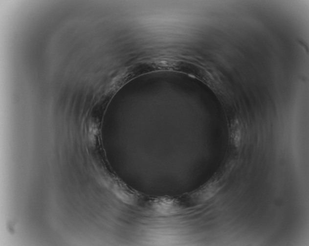 X0000100880235200806271145