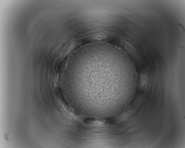 X0000100880236200806271145