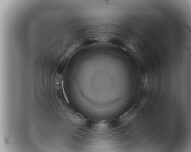 X0000100880237200806271145