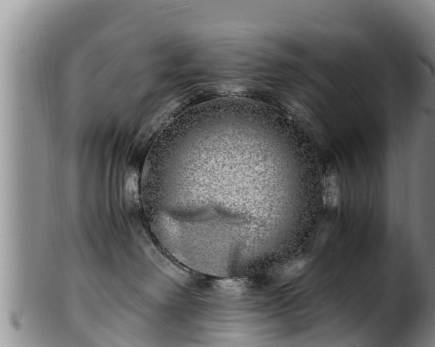 X0000100880238200806271145