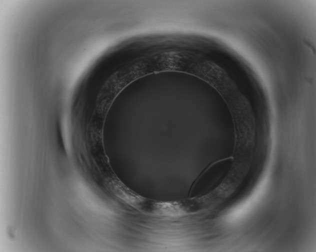 X0000100880239200806271145