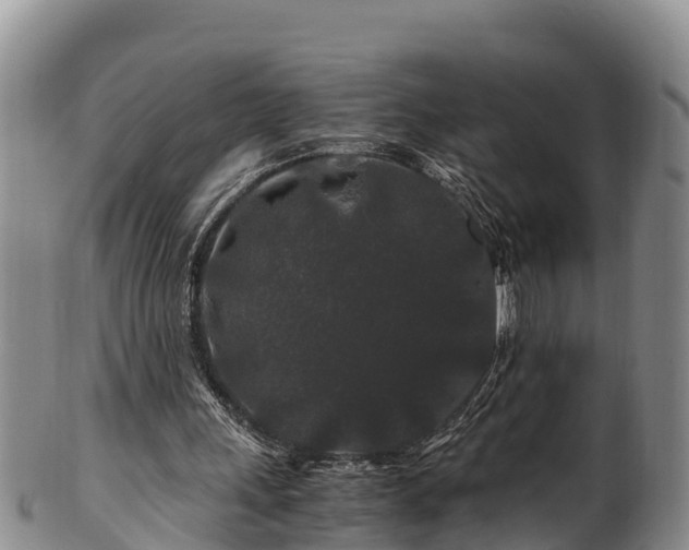 X0000100880243200806271144