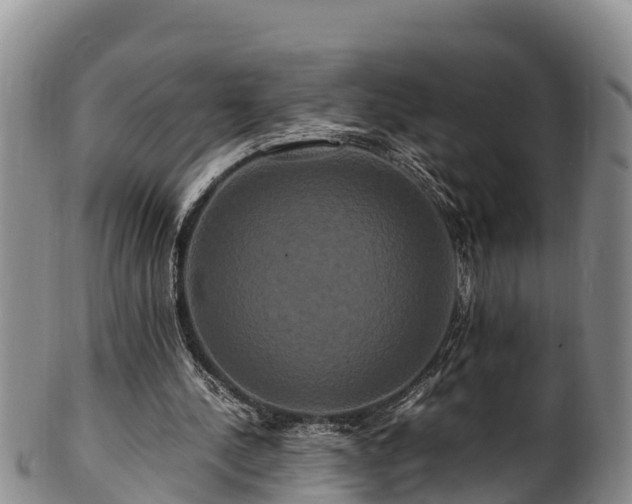 X0000100880244200806271144