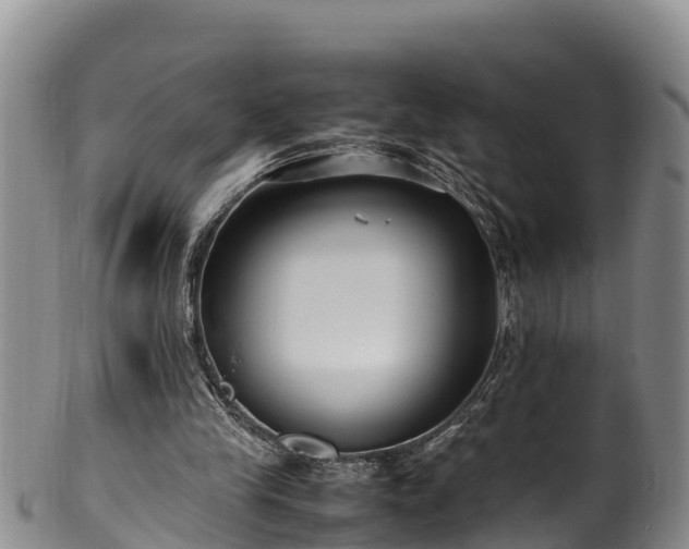 X0000100880245200806271144