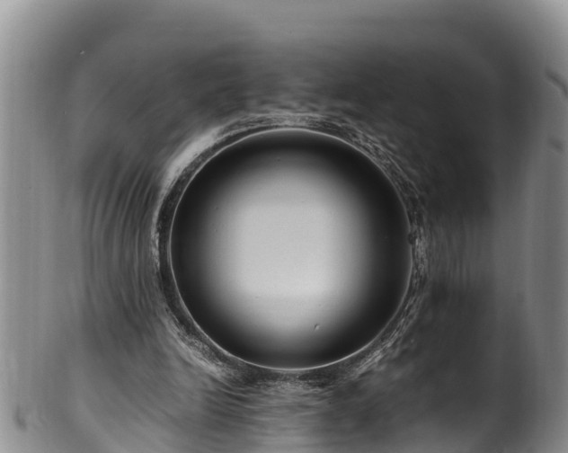 X0000100880246200806271144