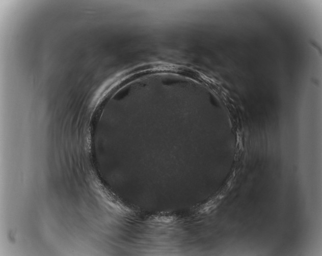 X0000100880247200806271144