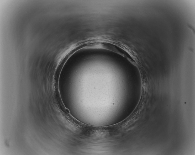 X0000100880248200806271144