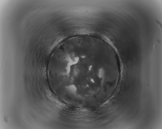 X0000100880249200806271144