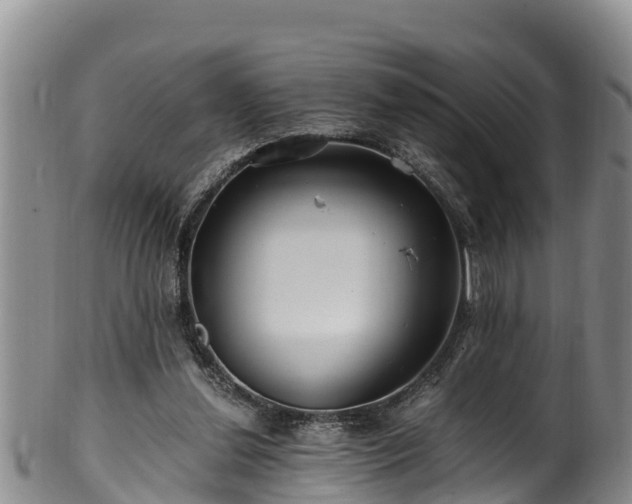 X0000100880252200806271144