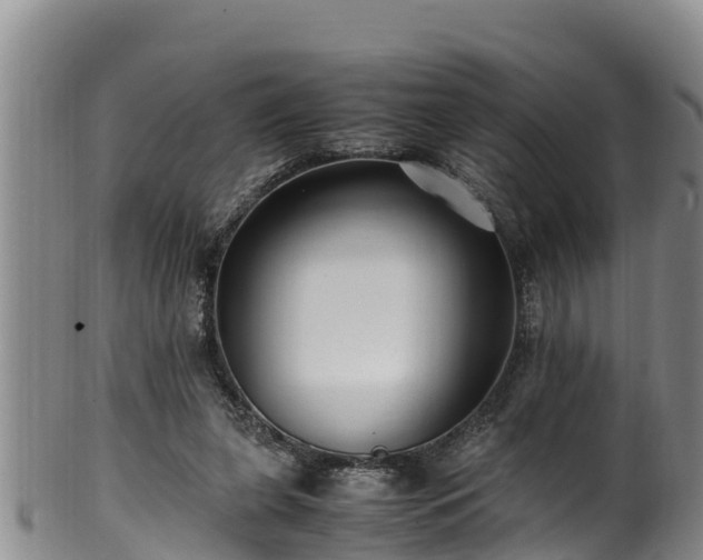 X0000100880255200806271144