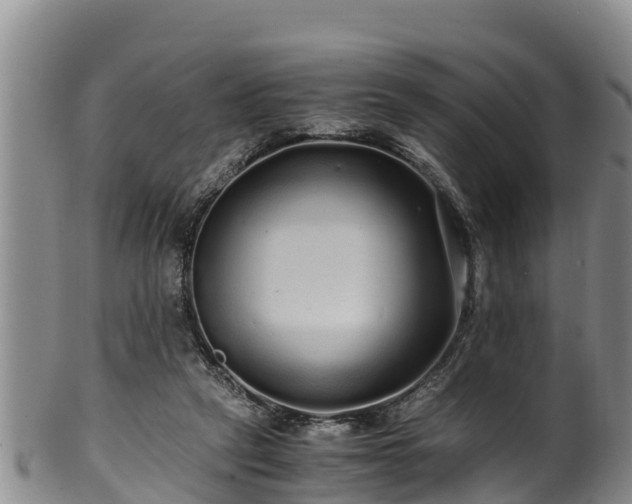 X0000100880257200806271145