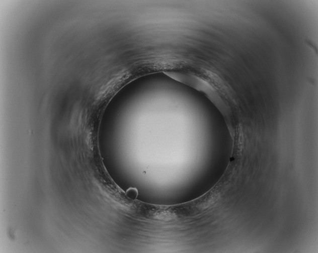 X0000100880258200806271145