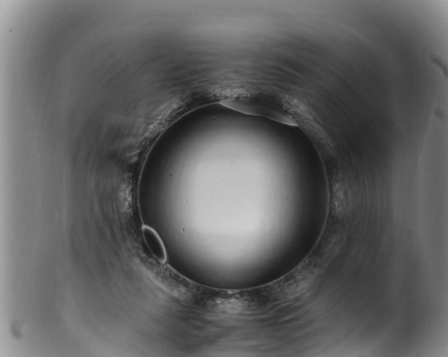 X0000100880259200806271145