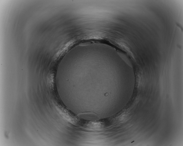 X0000100880260200806271145