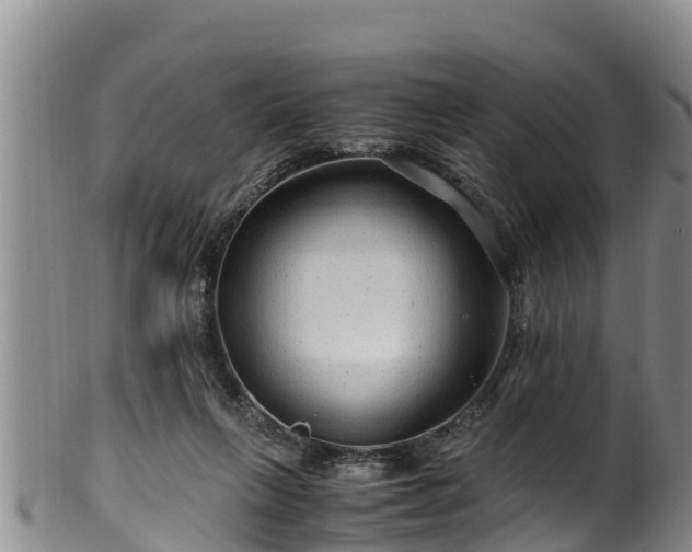 X0000100880263200806271145