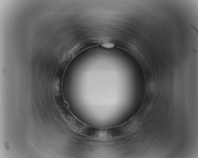 X0000100880264200806271145