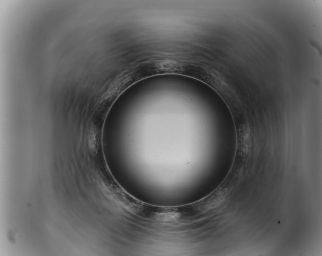 X0000100880266200806271145