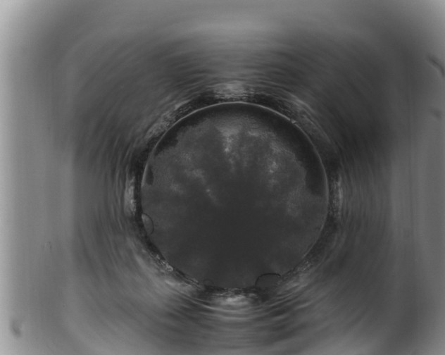 X0000100880267200806271145