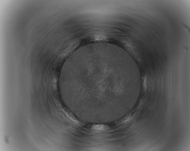 X0000100880269200806271145