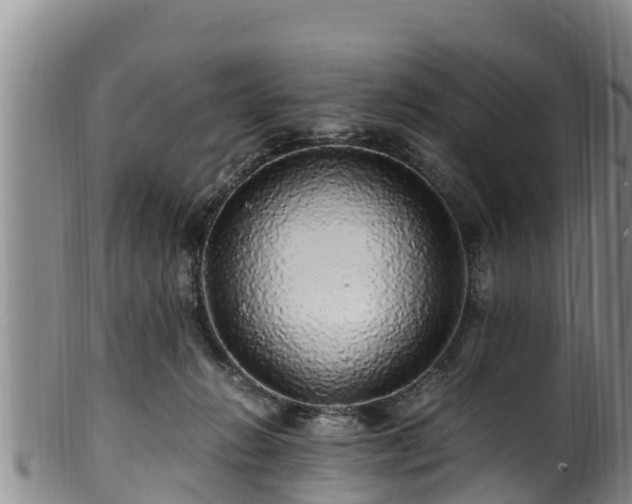 X0000100880270200806271145