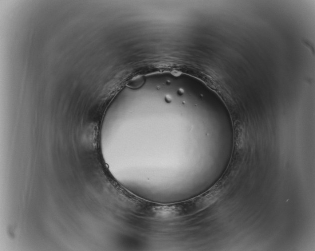 X0000100880273200806271145